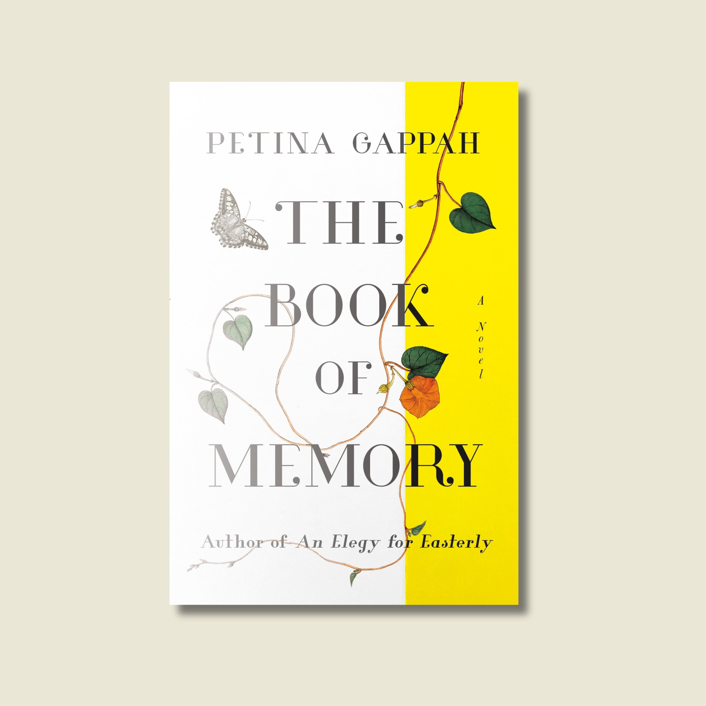 THE BOOK OF MEMORY BY PETINA GAPPAH