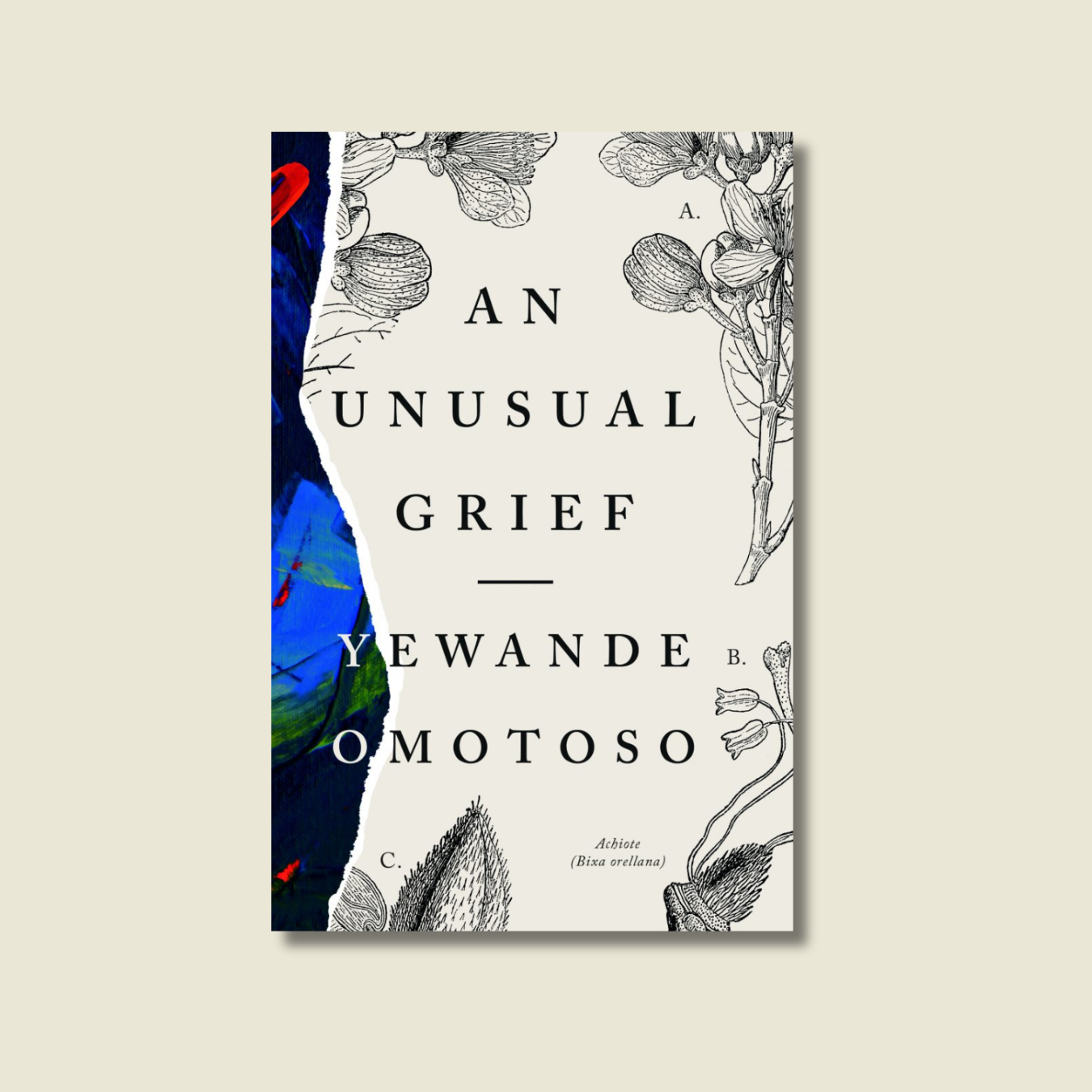 AN UNUSUAL GRIEF BY YEWANDE OMOTOSO