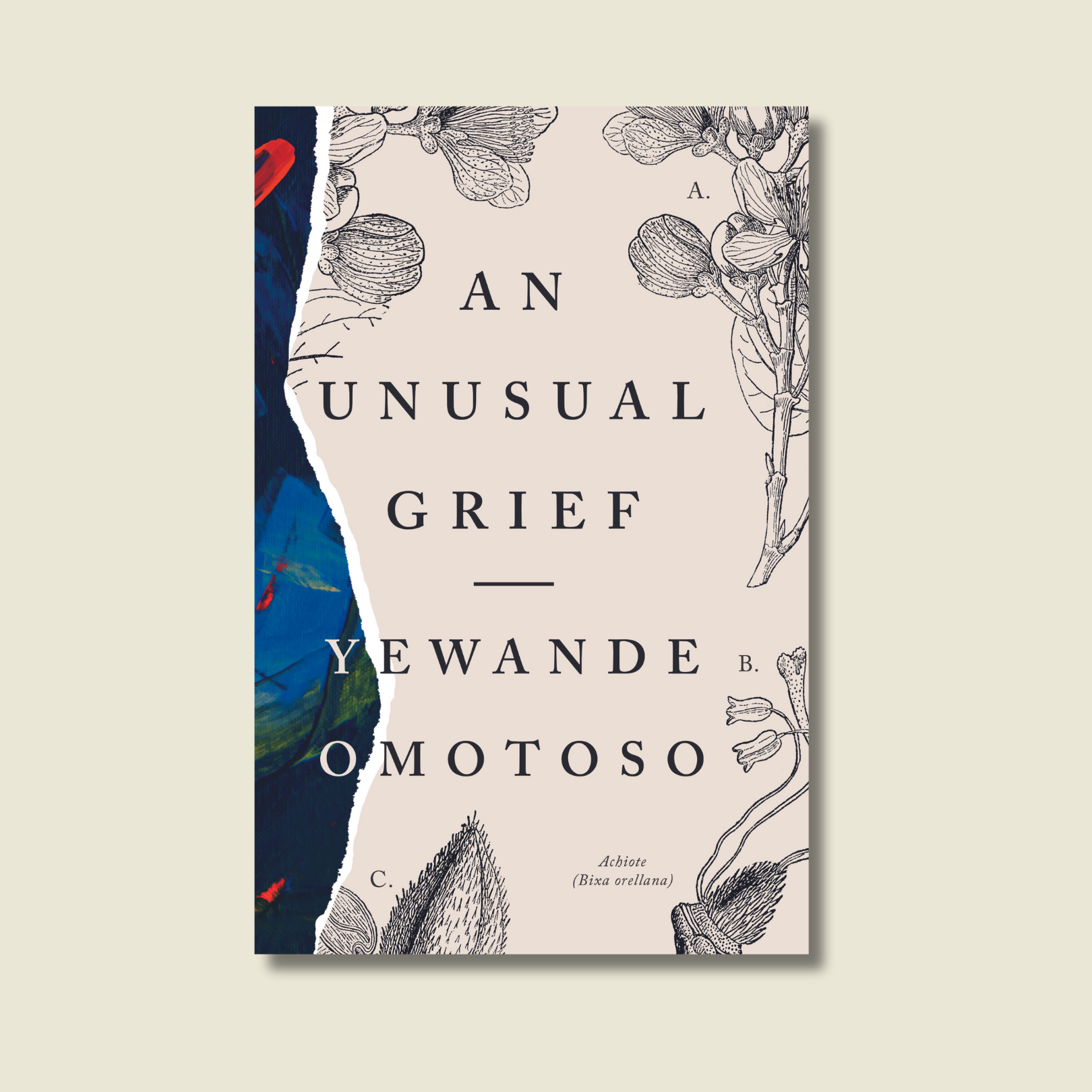 AN UNUSUAL GRIEF BY YEWANDE OMOTOSO